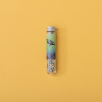 Micropuzzel walvissen